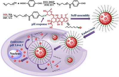 Schiff-Linked PEGylated Doxorubicin Prodrug Forming pH-Responsive Nanoparticles With High Drug Loading and Effective Anticancer Therapy